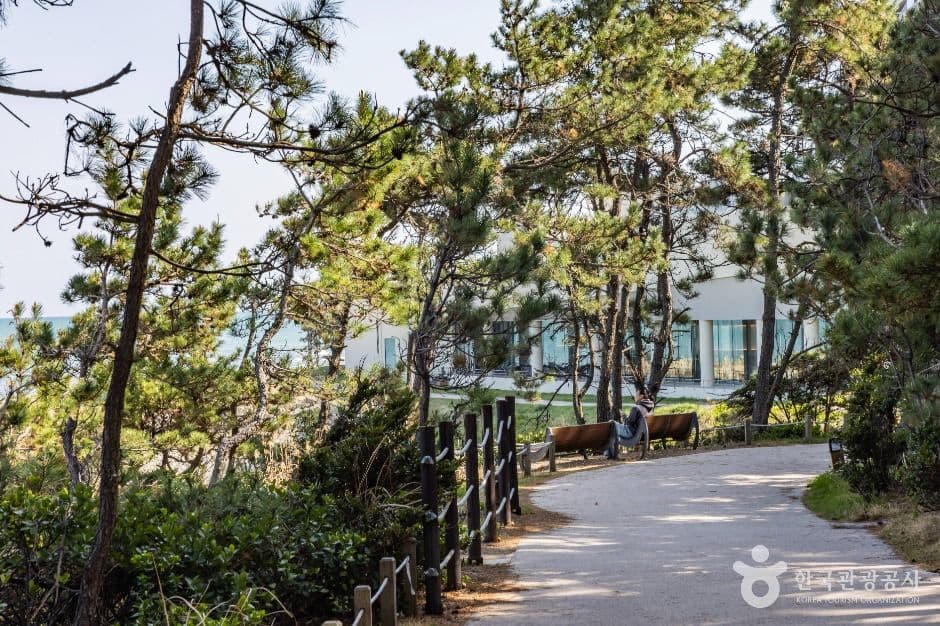 오시리아 해안산책로 추가 이미지 2