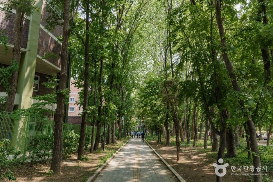 양재근린공원 추가 이미지 1