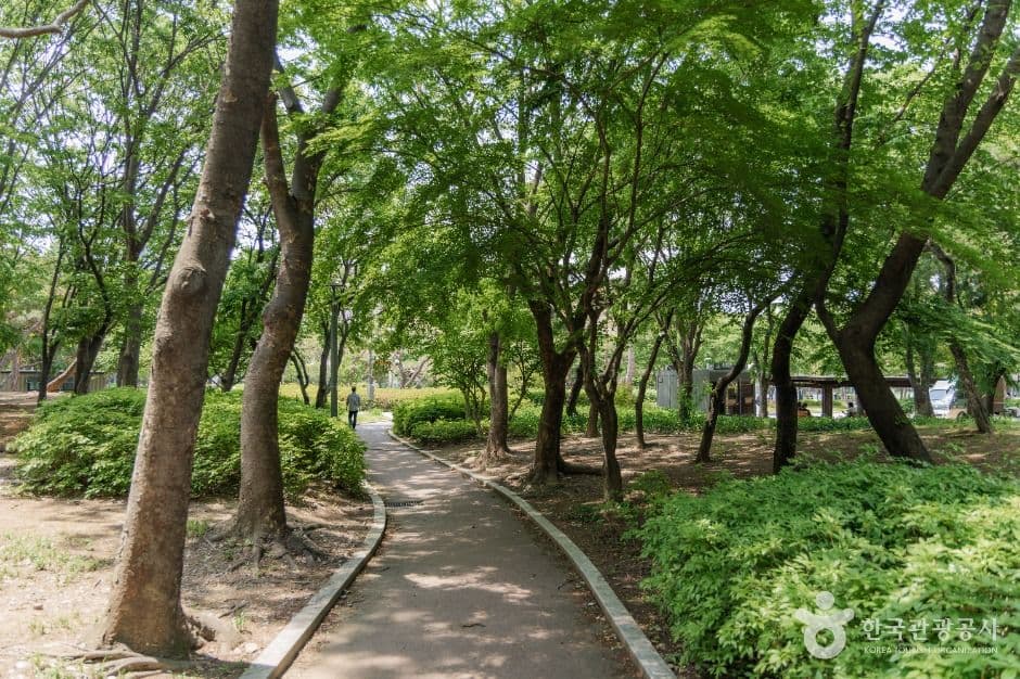 양재근린공원 추가 이미지 4