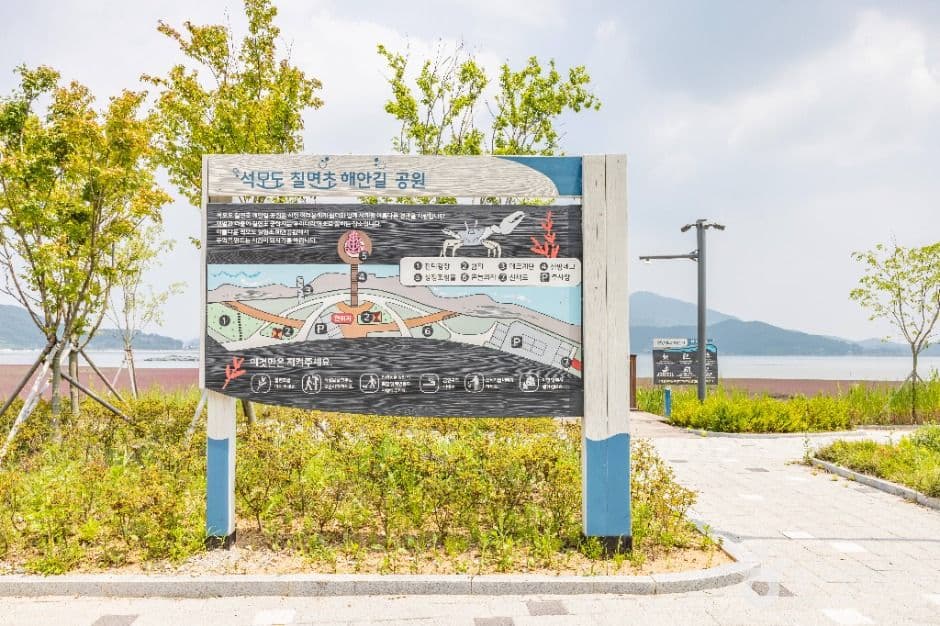 석모도 칠면초 군락지 추가 이미지 3