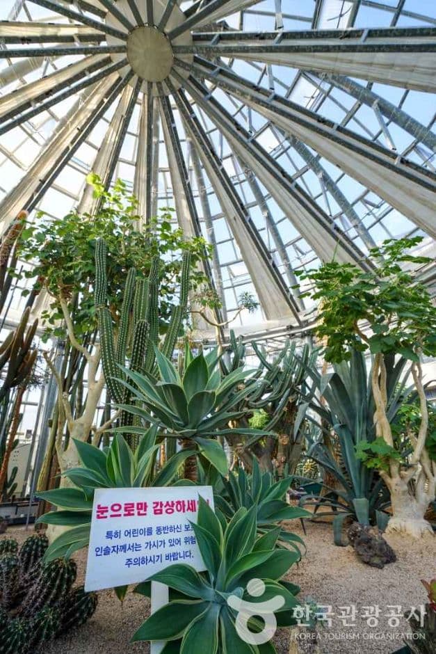 선인장다육식물연구소 추가 이미지 1