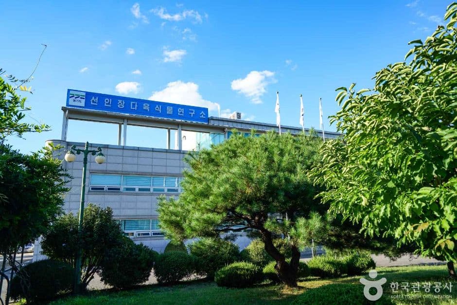 선인장다육식물연구소 추가 이미지 5