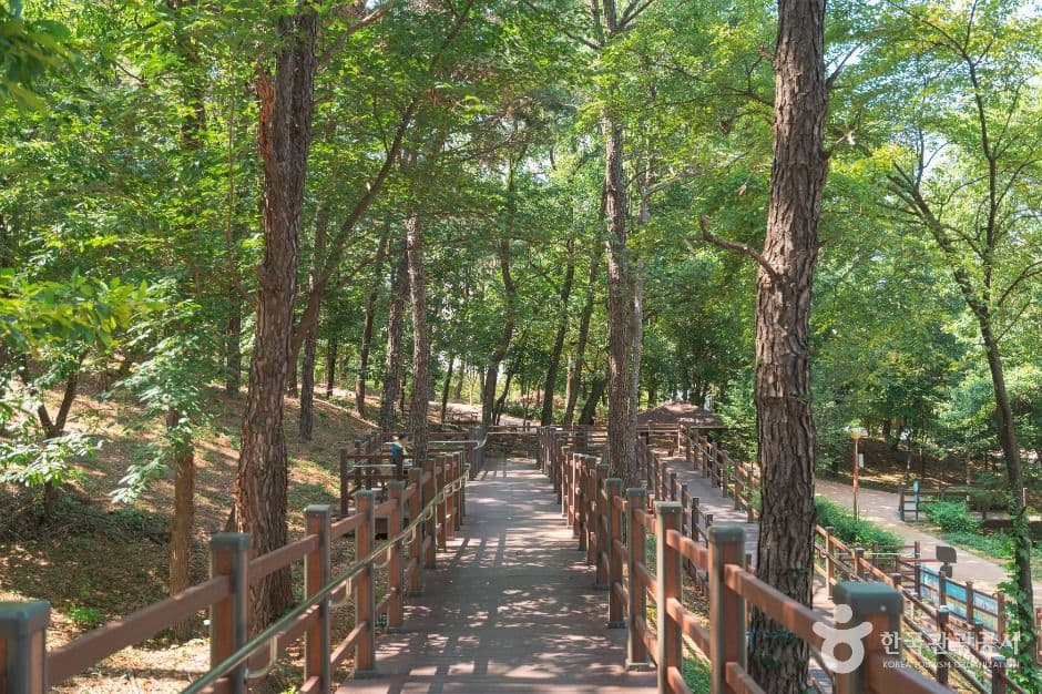 이천온천공원 추가 이미지 5